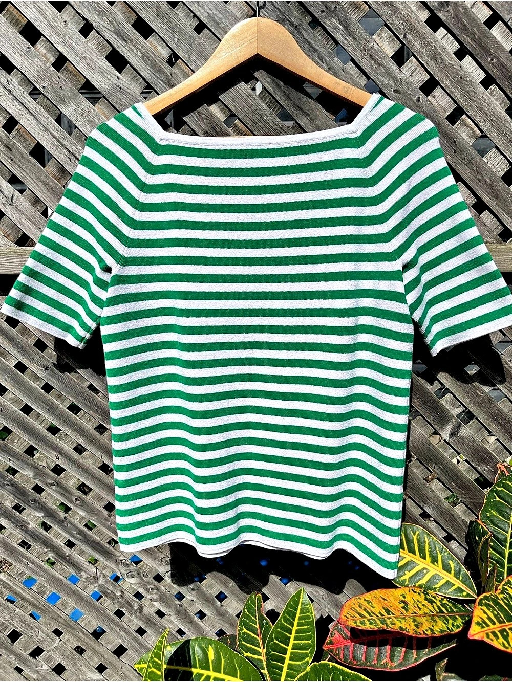 Talbots Striped Short Sleeve Top in Green & White Size Large Women’s
